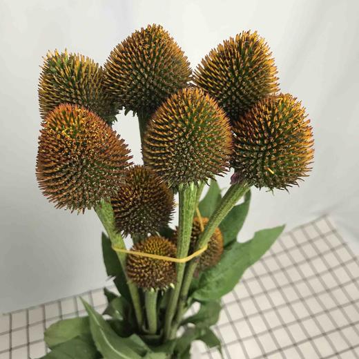 猫眼（大花） 商品图2