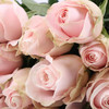 玫瑰·粉红雪山 商品缩略图1
