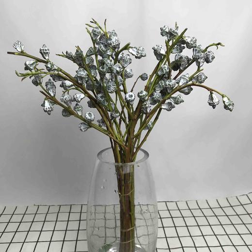 尤加利果 商品图3