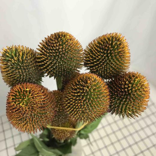 猫眼（大花） 商品图3