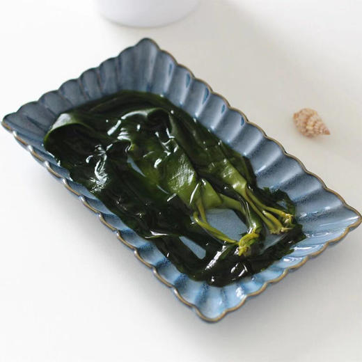 霞浦海带嫩苗（芽新鲜薄幼嫩 2斤装） 商品图12