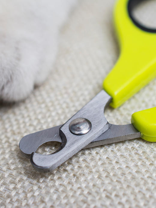 猫森林宠物指甲剪 商品图1