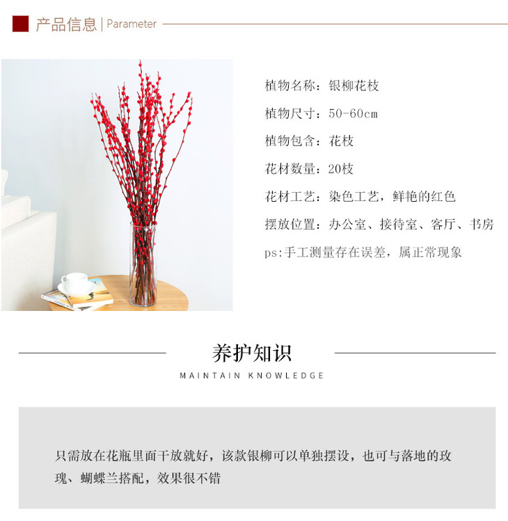 年宵花 银柳到家银两到家 顺丰包邮