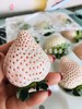 白雪公主白草莓🍓一盒11-15枚（快递2盒起） 商品缩略图6