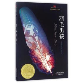 羽毛男孩(成长版)/国际大奖小说