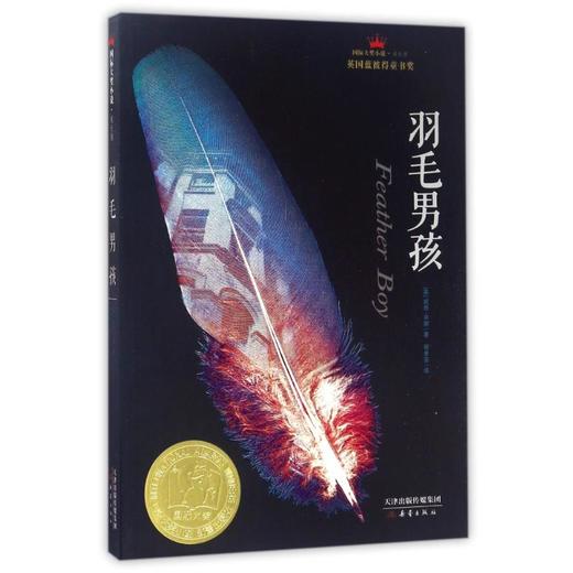羽毛男孩(成长版)/国际大奖小说 商品图0