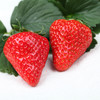丹东99草莓3斤|个大果正，香甜有奶香 商品缩略图4