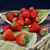 丹东99草莓3斤|个大果正，香甜有奶香 商品缩略图1