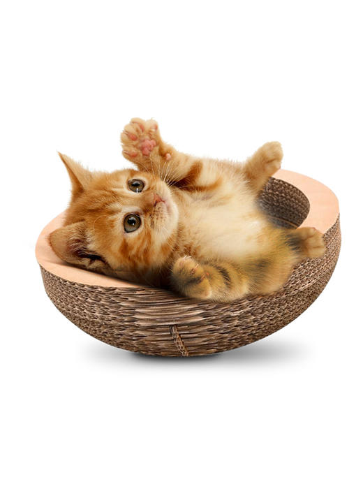【新人专享】金多乐碗型猫窝抓板/萌酷保暖猫窝/棉垫 商品图1