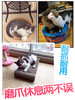 【新人专享】金多乐碗型猫窝抓板/萌酷保暖猫窝/棉垫 商品缩略图2