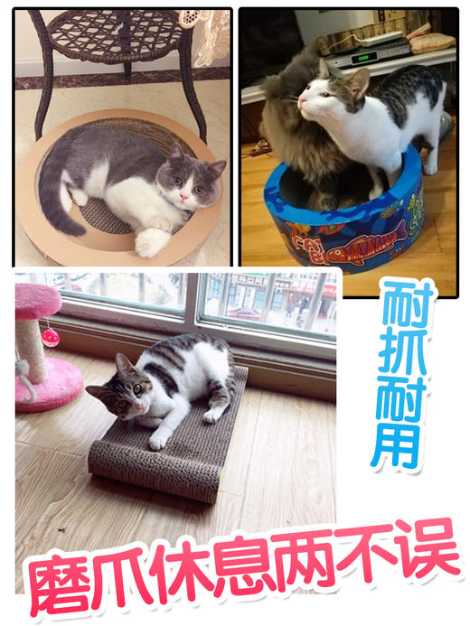 【新人专享】金多乐碗型猫窝抓板/萌酷保暖猫窝/棉垫 商品图2