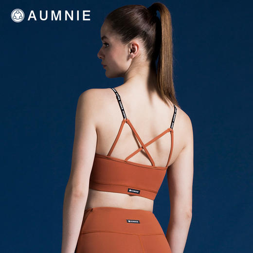 巅峰 LOGO 胸围  PINNACLE BRA 商品图1