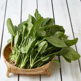 有机菠菜 Organic Spinach 250g/袋