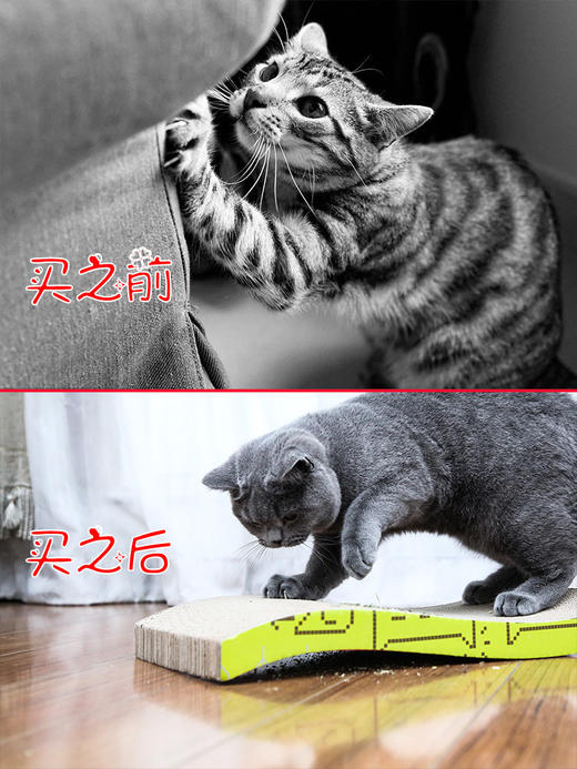 【新人专享】金多乐碗型猫窝抓板/萌酷保暖猫窝/棉垫 商品图4
