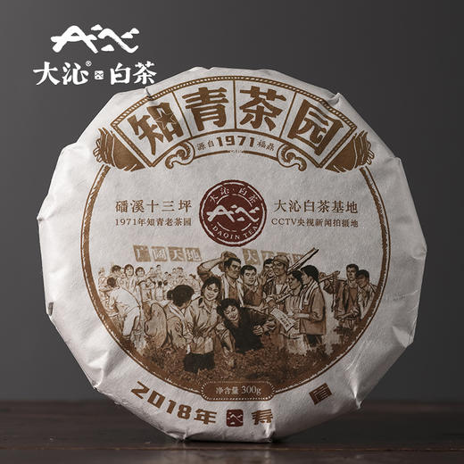 大沁白茶2018年十三坪知青寿眉饼300g 商品图1