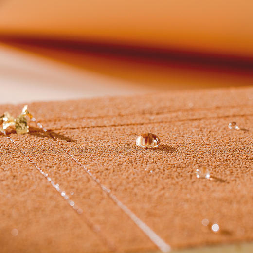 288跟我走吧+188鲜花套餐 商品图1