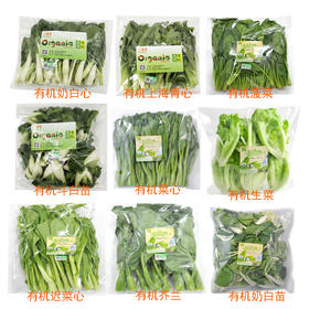 东升农场 有机礼品菜1箱，按当日收割品种随机发货15包 广州蔬菜新鲜配送