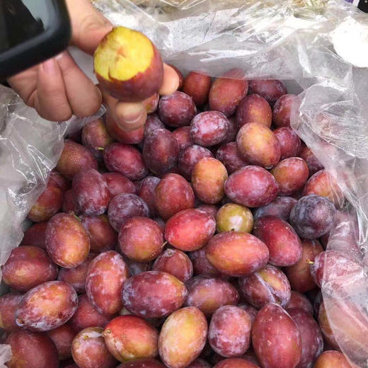 澳洲🇦🇺空运✈️大西梅🌿，含有丰富的维生素A及纤维素含铁和钾等矿物质，西梅富含铁、锌、钾，可增加各种维生素。 商品图13