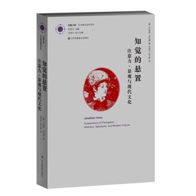 知觉的悬置:注意力、景观与现代文化