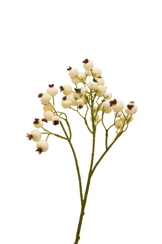 NS家居 nsfurniture  家居装饰仿真花/干花 商品图14