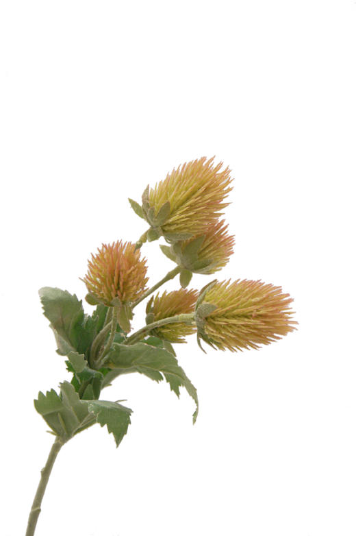 NS家居 nsfurniture  家居装饰仿真花/干花 商品图10