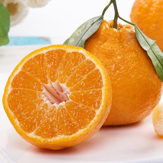 排单发货 不接急单【下单立减10元】蒲江春见耙耙柑高山果      5/8斤装   （酸甜口感  介意慎拍） 商品图0