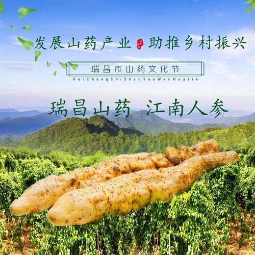 瑞昌山药10斤带箱