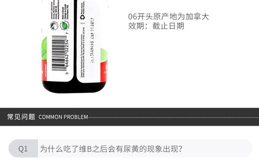 JAMIESON/健美生 维生素B族复合片 B75 90片JPY带授权招加盟代理 商品图10