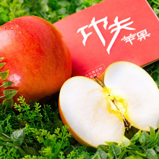 [屁侠推荐.pippa]功夫苹果 等了六年才能吃到的苹果 商品图1