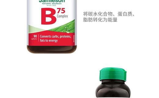 JAMIESON/健美生 维生素B族复合片 B75 90片JPY带授权招加盟代理 商品图8