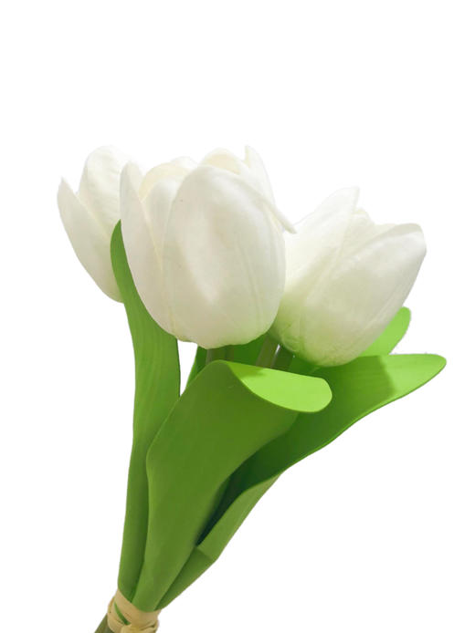 NS家居 nsfurniture  家居装饰仿真花/干花 商品图2