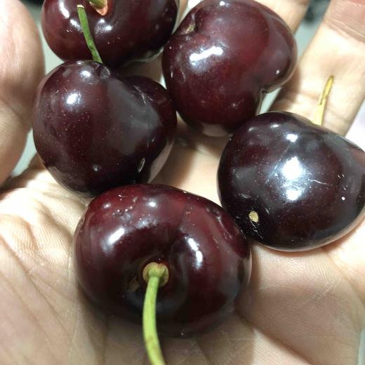 车厘子9行超大的硬货车厘子，果子炒鸡硬，口感特别甜，杆子碧绿脆甜多汁，味道浓郁。 商品图6