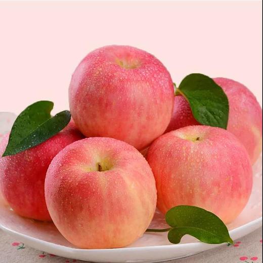 丨有机丨德力邦富士苹果 产自陕西渭北黄土高原 水果 商品图1