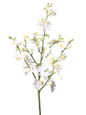 NS家居 nsfurniture  家居装饰仿真花/干花