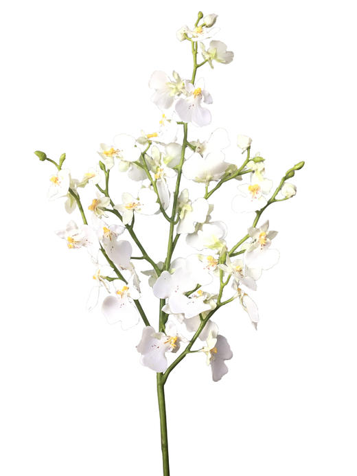 NS家居 nsfurniture  家居装饰仿真花/干花 商品图0