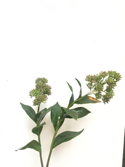 NS家居 nsfurniture  家居装饰仿真花/干花 商品图5