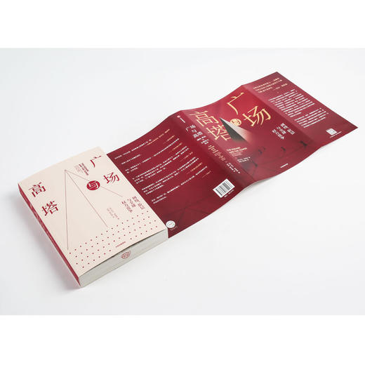 广场与高塔 尼尔弗格森 著 网络安全 全球竞争 社交网络 人际网格 互联网 大历史 中信出版社图书 正版 商品图8