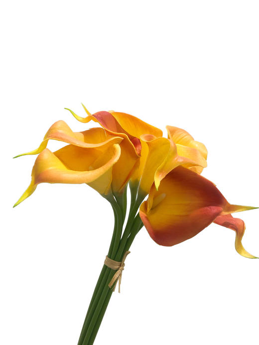 NS家居 nsfurniture  家居装饰仿真花/干花 商品图8