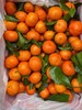 周六取货：【小筐砂糖橘】一筐毛重5.5斤左右，果肉爽脆，汁多！ 商品缩略图4