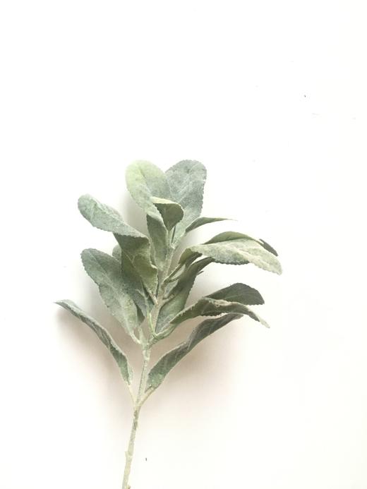 NS家居 nsfurniture  家居装饰仿真花/干花 商品图6