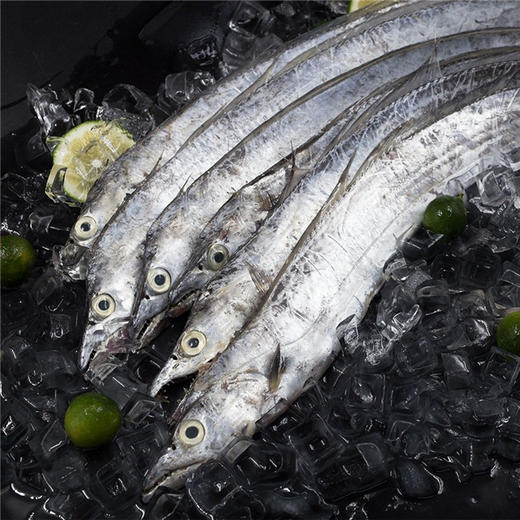 预售 预计12月23日发货 如遇天气回暖发货会另有延迟「自营」正宗舟山带鱼 ( 通过放射性安全复检) 商品图5