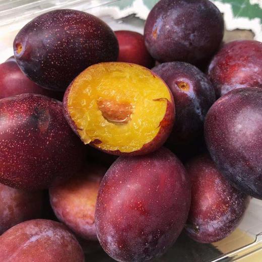 澳洲sugarplum西梅好吃到爆的那种吃了以后你会感觉