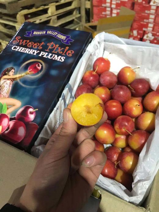 【硬菜】澳洲🇦🇺樱桃李Cherry plum带着浓郁的樱桃味，更为惊艳的是她的多汁和细腻，琥珀色的果肉纯甜，没有一丝酸感，纯甜控的小伙伴可以放心入手，现货到 商品图4