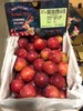 【硬菜】澳洲🇦🇺樱桃李Cherry plum带着浓郁的樱桃味，更为惊艳的是她的多汁和细腻，琥珀色的果肉纯甜，没有一丝酸感，纯甜控的小伙伴可以放心入手，现货到 商品缩略图2