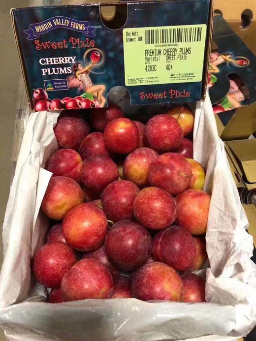 【硬菜】澳洲🇦🇺樱桃李Cherry plum带着浓郁的樱桃味，更为惊艳的是她的多汁和细腻，琥珀色的果肉纯甜，没有一丝酸感，纯甜控的小伙伴可以放心入手，现货到 商品图2