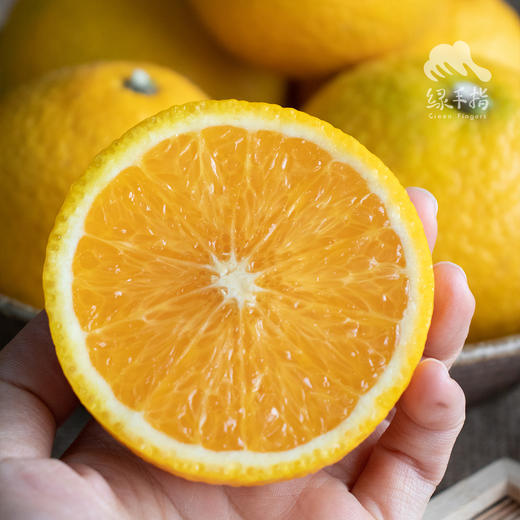 生态桔柚 | 合作生产*Eco-Tangelo | Coproduction 商品图0