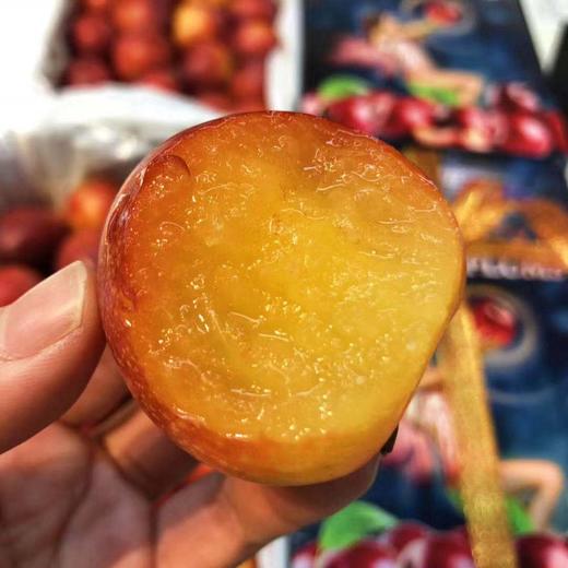 【硬菜】澳洲🇦🇺樱桃李Cherry plum带着浓郁的樱桃味，更为惊艳的是她的多汁和细腻，琥珀色的果肉纯甜，没有一丝酸感，纯甜控的小伙伴可以放心入手，现货到 商品图0