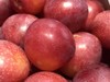 【硬菜】澳洲🇦🇺樱桃李Cherry plum带着浓郁的樱桃味，更为惊艳的是她的多汁和细腻，琥珀色的果肉纯甜，没有一丝酸感，纯甜控的小伙伴可以放心入手，现货到 商品缩略图1