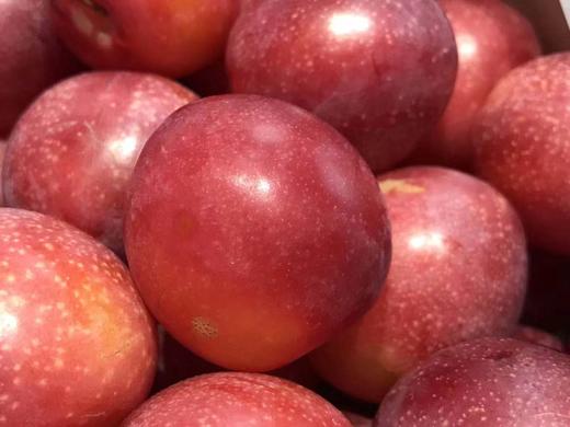 【硬菜】澳洲🇦🇺樱桃李Cherry plum带着浓郁的樱桃味，更为惊艳的是她的多汁和细腻，琥珀色的果肉纯甜，没有一丝酸感，纯甜控的小伙伴可以放心入手，现货到 商品图1
