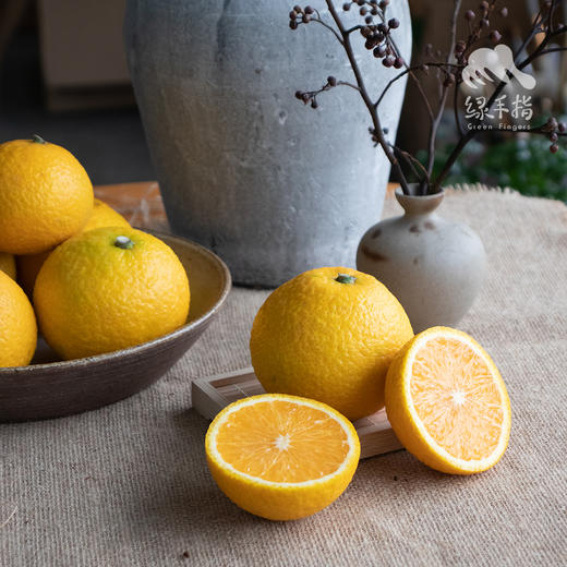 生态桔柚 | 合作生产*Eco-Tangelo | Coproduction 商品图5